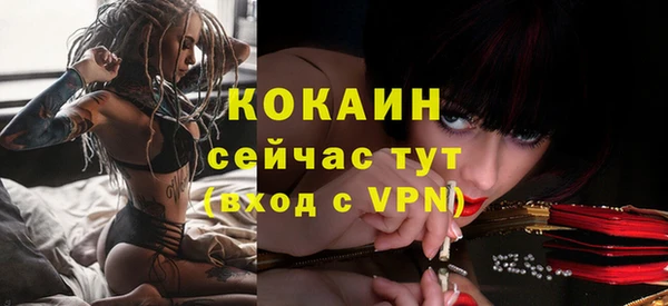 бутират Дмитриев