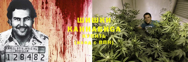 дживик Дмитровск